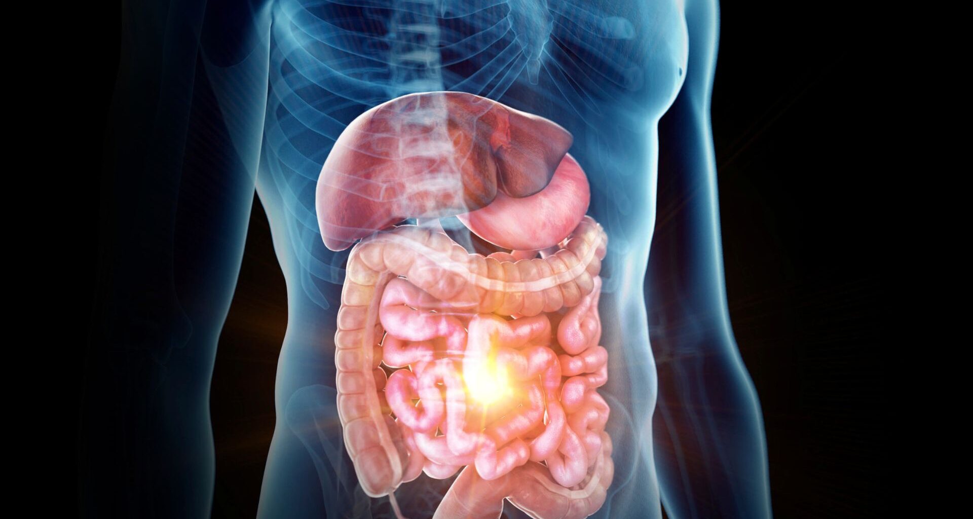 microbiota intestinale