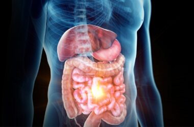 microbiota intestinale