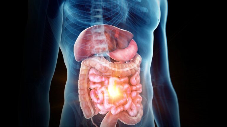 microbiota intestinale