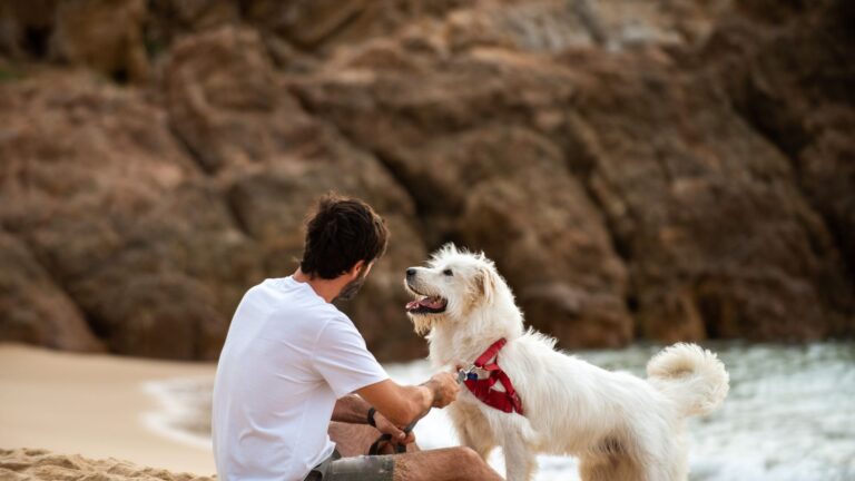 in vacanza con il cane al mare
