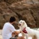 in vacanza con il cane al mare