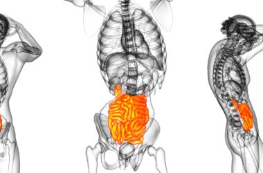 intestino e cervello