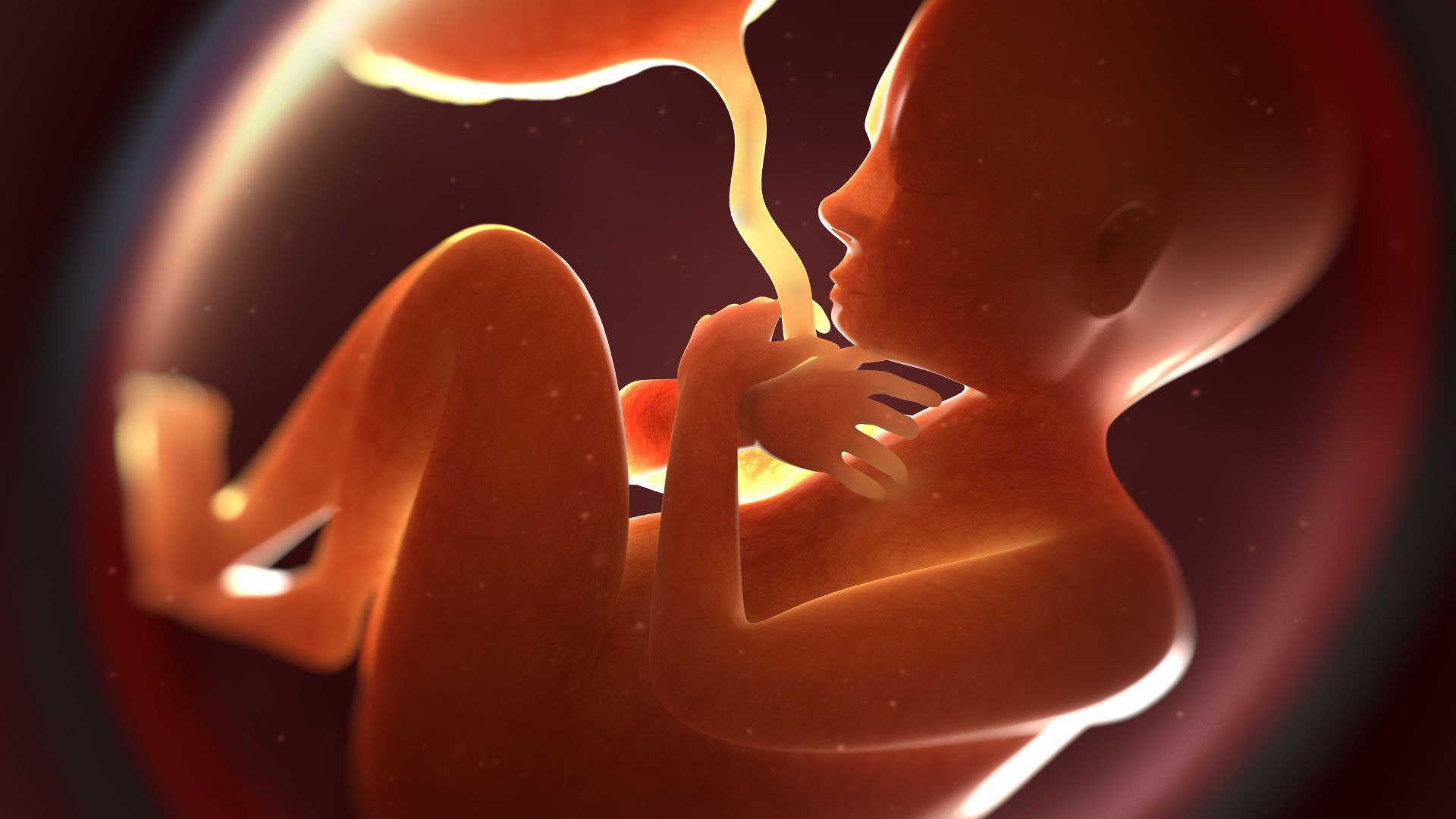 Asportazione cisti polmonare: il miracolo che salva una vita